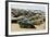 Grey Seal Herd Resting on Sand-Bank-null-Framed Photographic Print