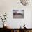 Grey Seal Lying on Beach, UK-Pete Cairns-Photographic Print displayed on a wall