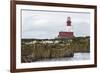 Grey seals (Halichoerus grypus) near Longstone lighthouse, Longstone Rock, Farne Islands, Northumbe-Ann and Steve Toon-Framed Photographic Print