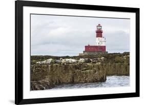 Grey seals (Halichoerus grypus) near Longstone lighthouse, Longstone Rock, Farne Islands, Northumbe-Ann and Steve Toon-Framed Photographic Print