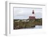 Grey seals (Halichoerus grypus) near Longstone lighthouse, Longstone Rock, Farne Islands, Northumbe-Ann and Steve Toon-Framed Photographic Print