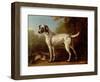 Grey Spotted Hound, 1738-John Wootton-Framed Premium Giclee Print