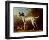 Grey Spotted Hound, 1738-John Wootton-Framed Premium Giclee Print