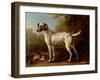 Grey Spotted Hound, 1738-John Wootton-Framed Giclee Print