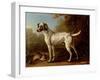 Grey Spotted Hound, 1738-John Wootton-Framed Giclee Print