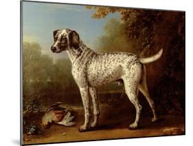 Grey Spotted Hound, 1738-John Wootton-Mounted Giclee Print