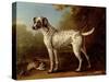 Grey Spotted Hound, 1738-John Wootton-Stretched Canvas