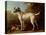 Grey Spotted Hound, 1738-John Wootton-Stretched Canvas