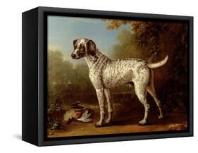 Grey Spotted Hound, 1738-John Wootton-Framed Stretched Canvas