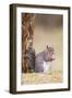 Grey Squirrel Feeding at Base of Tree-null-Framed Photographic Print