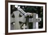 Grey squirrel jumping between gravestones, UK-John Waters-Framed Photographic Print