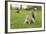 Grey Squirrel (Sciurus Carolinensis) on Grass in Parkland, Regent's Park, London, UK, April 2011-Terry Whittaker-Framed Photographic Print