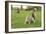 Grey Squirrel (Sciurus Carolinensis) on Grass in Parkland, Regent's Park, London, UK, April 2011-Terry Whittaker-Framed Photographic Print