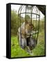 Grey Squirrel Trapped Inside a Squirrel Proof Bird Feeder-null-Framed Stretched Canvas