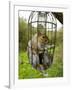 Grey Squirrel Trapped Inside a Squirrel Proof Bird Feeder-null-Framed Photographic Print