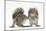 Grey Squirrels (Sciurus Carolinensis) Two Young Hand-Reared Babies Portrait-Mark Taylor-Mounted Photographic Print