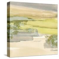 Grey Stone I-Chris Paschke-Stretched Canvas