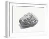 Grey Textured Stone on White Background-null-Framed Premium Photographic Print