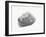 Grey Textured Stone on White Background-null-Framed Photographic Print