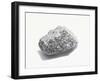 Grey Textured Stone on White Background-null-Framed Photographic Print