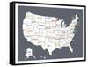 Grey USA Map-Kindred Sol Collective-Framed Stretched Canvas