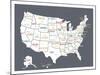 Grey USA Map-Kindred Sol Collective-Mounted Art Print