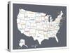 Grey USA Map-Kindred Sol Collective-Stretched Canvas