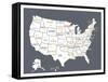 Grey USA Map-Kindred Sol Collective-Framed Stretched Canvas