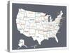 Grey USA Map-Kindred Sol Collective-Stretched Canvas
