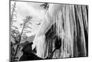 Wood Mount