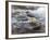 Grey Wagtail Male on Rock in Fast Flowing Upland Stream, Upper Teesdale, Co Durham, England, UK-Andy Sands-Framed Photographic Print