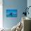 Grey Whales, Whale Watching, Magdalena Bay, Mexico, North America-Laura Grier-Photographic Print displayed on a wall