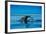 Grey Whales, Whale Watching, Magdalena Bay, Mexico, North America-Laura Grier-Framed Photographic Print