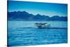 Grey Whales, Whale Watching, Magdalena Bay, Mexico, North America-Laura Grier-Stretched Canvas