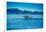 Grey Whales, Whale Watching, Magdalena Bay, Mexico, North America-Laura Grier-Framed Photographic Print