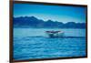 Grey Whales, Whale Watching, Magdalena Bay, Mexico, North America-Laura Grier-Framed Premium Photographic Print