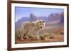 Grey Wolf (Canis lupus) adult, standing in high desert, Monument Valley, Utah-Jurgen & Christine Sohns-Framed Photographic Print