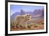 Grey Wolf (Canis lupus) adult, standing in high desert, Monument Valley, Utah-Jurgen & Christine Sohns-Framed Photographic Print