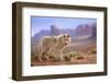 Grey Wolf (Canis lupus) adult, standing in high desert, Monument Valley, Utah-Jurgen & Christine Sohns-Framed Premium Photographic Print