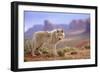 Grey Wolf (Canis lupus) adult, standing in high desert, Monument Valley, Utah-Jurgen & Christine Sohns-Framed Photographic Print
