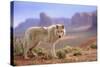 Grey Wolf (Canis lupus) adult, standing in high desert, Monument Valley, Utah-Jurgen & Christine Sohns-Stretched Canvas