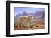 Grey Wolf (Canis lupus) adult, standing in high desert, Monument Valley, Utah-Jurgen & Christine Sohns-Framed Photographic Print