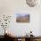 Grey Wolf (Canis lupus) adult, standing in high desert, Monument Valley, Utah-Jurgen & Christine Sohns-Photographic Print displayed on a wall