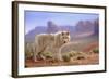 Grey Wolf (Canis lupus) adult, standing in high desert, Monument Valley, Utah-Jurgen & Christine Sohns-Framed Photographic Print