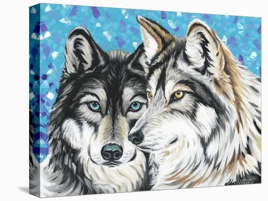 Grey Wolf I-Carolee Vitaletti-Stretched Canvas