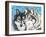 Grey Wolf I-Carolee Vitaletti-Framed Art Print