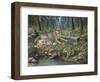 Grey Wolf Mother and Pups-Robert Wavra-Framed Giclee Print