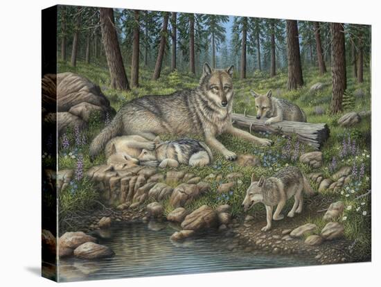 Grey Wolf Mother and Pups-Robert Wavra-Stretched Canvas