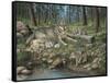 Grey Wolf Mother and Pups-Robert Wavra-Framed Stretched Canvas