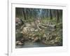 Grey Wolf Mother and Pups-Robert Wavra-Framed Giclee Print